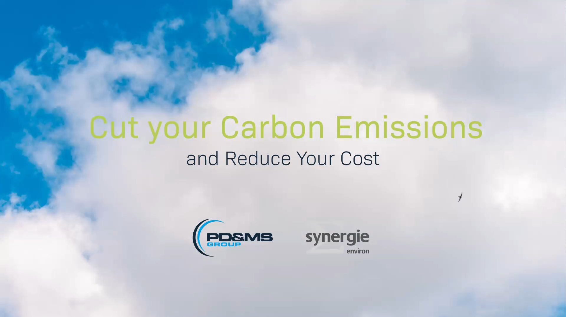 CUTTING COST, CONSUMPTION AND CARBON