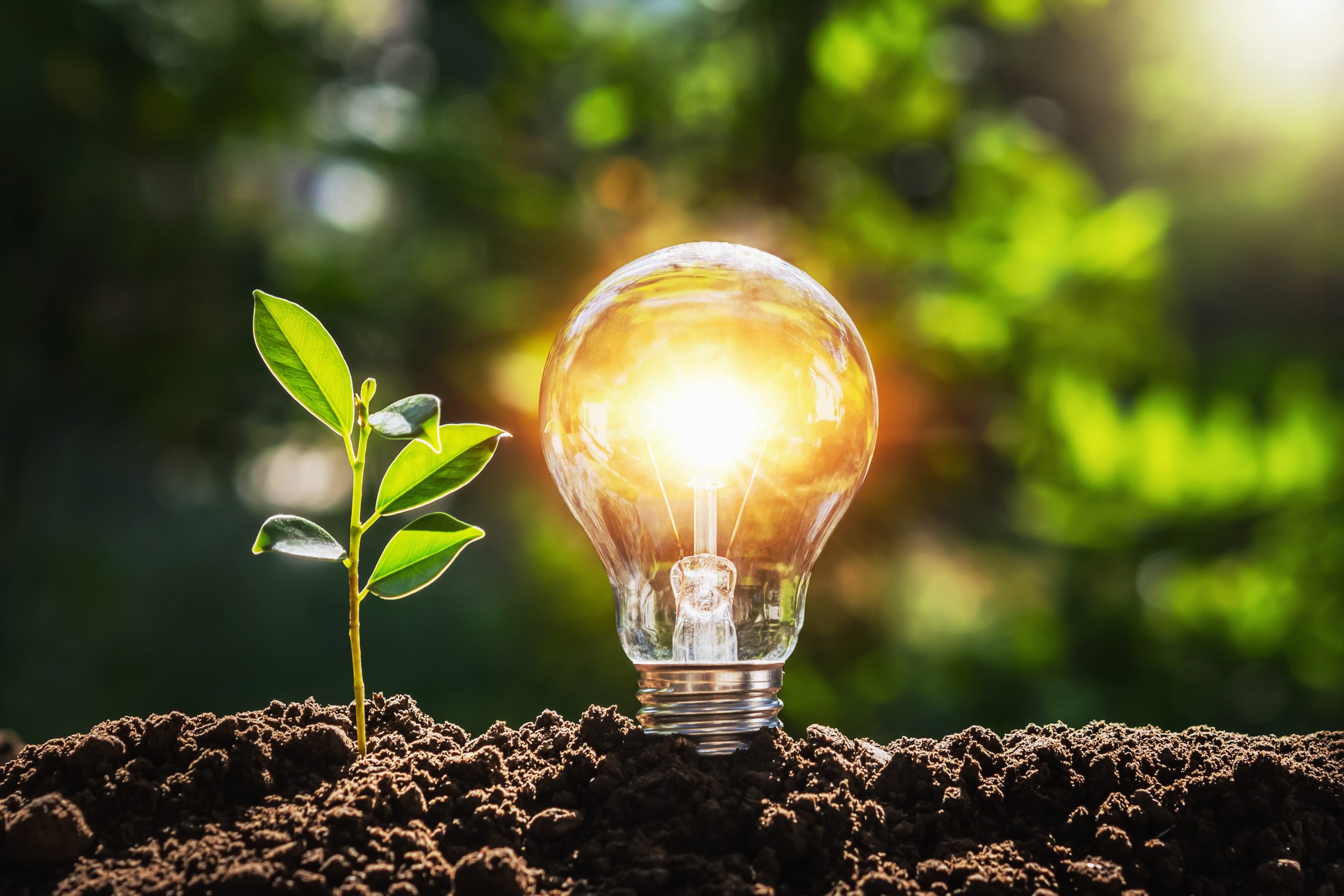 Companies urged to prepare now for two Energy Savings Opportunity Scheme deadlines this year